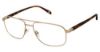 Picture of Champion Eyeglasses 4019