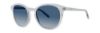 Picture of Vera Wang Sunglasses V470