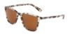 Picture of Dolce & Gabbana Sunglasses DG4301
