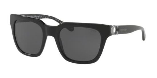 Picture of Coach Sunglasses HC8240F