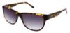 Picture of Steve Madden Sunglasses ELLEMENTT