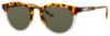 Picture of Smith Sunglasses QUESTA