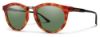Picture of Smith Sunglasses QUESTA