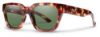 Picture of Smith Sunglasses COMSTOCK