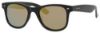 Picture of Polaroid Core Sunglasses PLD 6009/S M