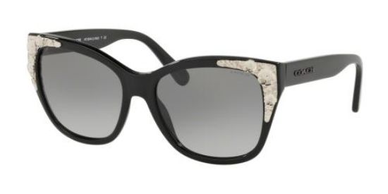Picture of Coach Sunglasses HC8244
