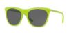 Picture of Dkny Sunglasses DY4161