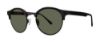 Picture of Zac Posen Sunglasses SIEGAL