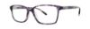 Picture of Vera Wang Eyeglasses VA33