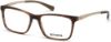 Picture of Harley Davidson Eyeglasses HD0779