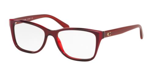 Picture of Coach Eyeglasses HC6129
