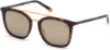 Picture of Timberland Sunglasses TB9169