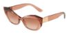 Picture of Dolce & Gabbana Sunglasses DG6123
