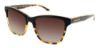Picture of Bcbgmaxazria Sunglasses MODISH