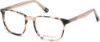 Picture of Gant Eyeglasses GA3183