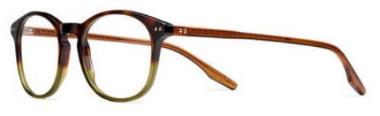 Picture of New Safilo Eyeglasses TRATTO 07