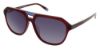 Picture of Steve Madden Sunglasses UPBEEAT