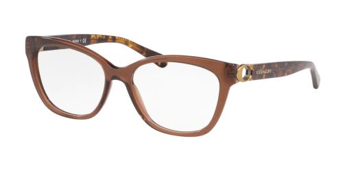 Picture of Coach Eyeglasses HC6120