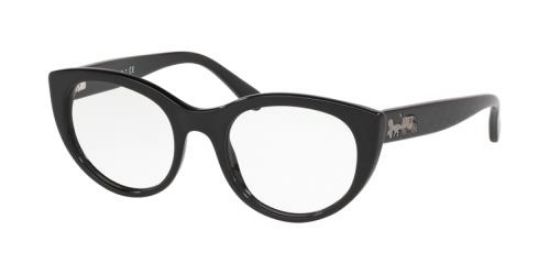 Picture of Coach Eyeglasses HC6132