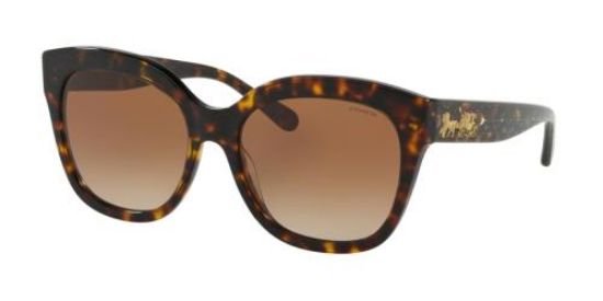 coach sunglasses hc8264