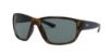 Picture of Ray Ban Sunglasses RB4300