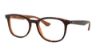 Picture of Ray Ban Eyeglasses RX5356