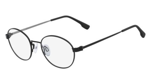 Picture of Flexon Eyeglasses E1081