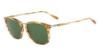 Picture of Salvatore Ferragamo Sunglasses SF910S