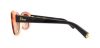 Picture of Dior Sunglasses PROMESSE 3/S