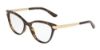 Picture of Dolce & Gabbana Eyeglasses DG5042