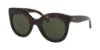 Picture of Polo Sunglasses PH4148