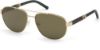 Picture of Harley Davidson Sunglasses HD1003X
