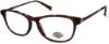 Picture of Harley Davidson Eyeglasses HD0551