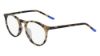 Picture of Nike Eyeglasses 7251