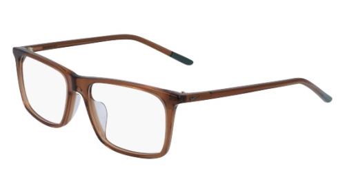 Picture of Nike Eyeglasses 7253
