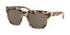 Picture of Coach Sunglasses HC8240F