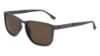 Picture of Flexon Sunglasses S FS-5036P