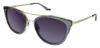 Picture of Steve Madden Sunglasses MADELLINE