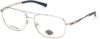 Picture of Harley Davidson Eyeglasses HD0822