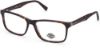 Picture of Harley Davidson Eyeglasses HD0823