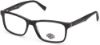 Picture of Harley Davidson Eyeglasses HD0823