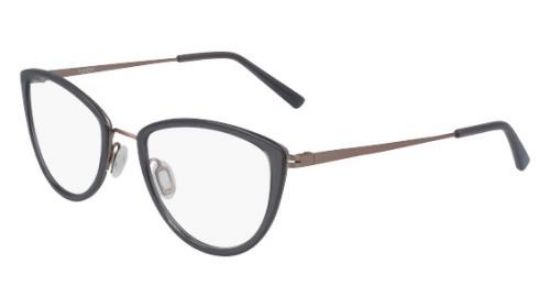 Picture of Flexon Eyeglasses W3020