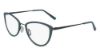 Picture of Flexon Eyeglasses W3020