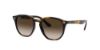 Picture of Ray Ban Jr Sunglasses RJ9070S