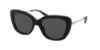 Picture of Coach Sunglasses HC8291