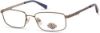 Picture of Harley Davidson Eyeglasses HD0141T