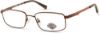 Picture of Harley Davidson Eyeglasses HD0141T