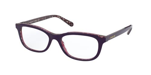 Picture of Coach Eyeglasses HC6150F