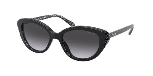 Picture of Coach Sunglasses HC8288