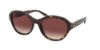 Picture of Coach Sunglasses HC8293